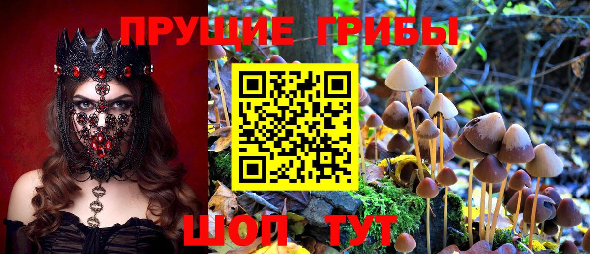 Воронеж  Псилоцибиновые грибы Magic Shrooms  Вход с VPN 